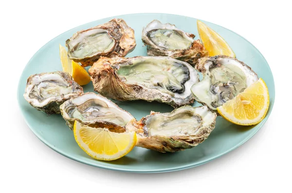 Raw Oysters Served Lemon Slices Plate Delicacy Food File Contains — Stock Photo, Image