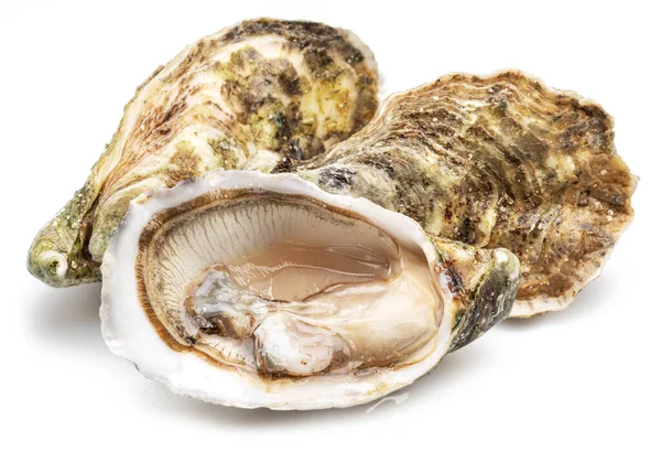 Geöffnete Und Geschlossene Rohe Austern Isoliert Auf Weißem Hintergrund Feinkost — Stockfoto