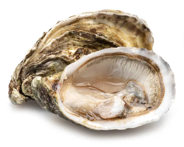 打开和关闭的生牡蛎在白色背景上被隔离 美味佳肴 — 图库照片