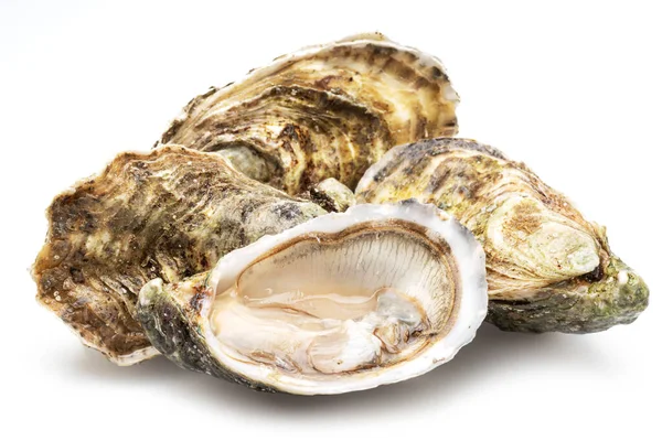 Opened Closed Raw Oysters Isolated White Background Delicacy Food — Stock Photo, Image