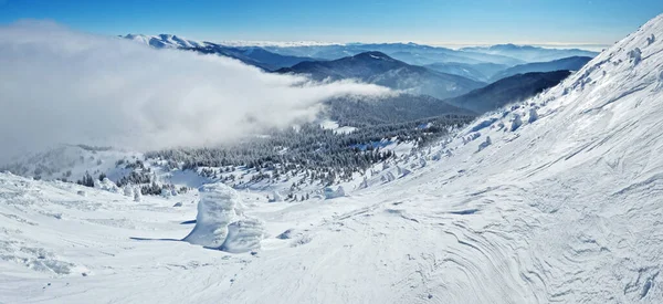 山の中で美しい晴れた冬の風景 雪と雲に覆われた山とモミの木 — ストック写真