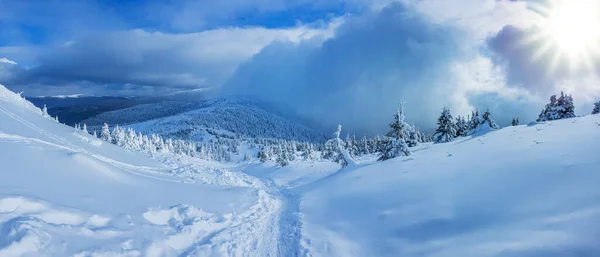 Panoramisch Landschap Van Een Besneeuwd Bos Bergen Een Zonnige Winterdag — Stockfoto