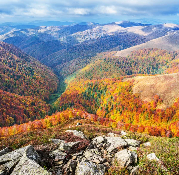 Bela Paisagem Outono Colorido Das Montanhas Dos Cárpatos — Fotografia de Stock