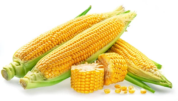 Maize cobs or corn cobs isolated on white background.