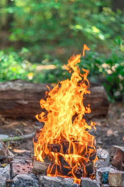 篝火或篝火 大自然背景下的熊熊烈火 — 图库照片