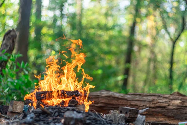 Костер Костер Оранжевое Пламя Огня Природе — стоковое фото