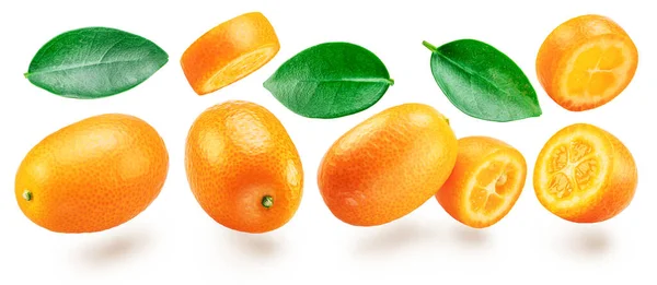 Frutta Kumquat Tagli Incrociati Kumquat Che Volano Aria Sfondo Bianco — Foto Stock