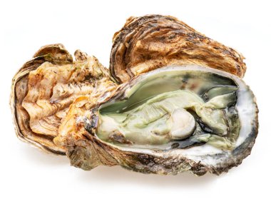 Açılmış ve kapanmış çiğ istiridyeler beyaz arka planda izole edilmiş. Lezzetli yemek..