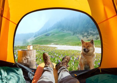 Wonderful view of nature through the open entrance to the tent. The beauty of a romantic hike and camping accompanied by a dog. clipart