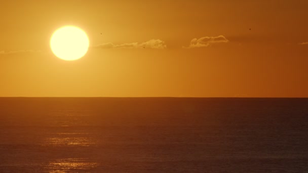 Beautiful Evening Sunset Big Sun Atlantic Ocean Beautiful Screensaver Any — Wideo stockowe