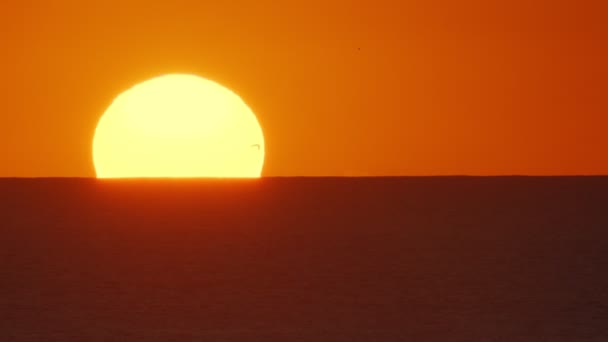 Вечер Заката Большим Солнцем Атлантическом Океане Красивая Заставка Любого Ваших — стоковое видео