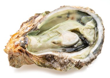 Açılmış çiğ istiridye beyaz arka planda izole edilmiş. Lezzetli yemek..