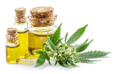 Kenevir yaprakları, tohumlar ve kenevir yağı beyaz arka planda izole edilmiş. Kapat..