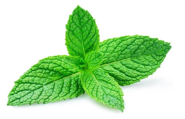 Green Fresh Top Peppermint Mint Leaves Closeup White Background Clipping — Stockfoto