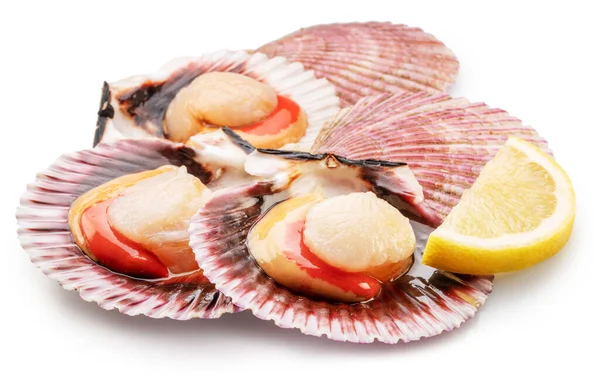 Group Fresh Opened Scallop Lemon Slice Close Clipping Path — Stock fotografie