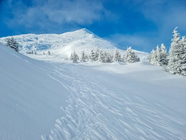 Όμορφο Ηλιόλουστο Χειμερινό Τοπίο Στα Βουνά Βουνά Και Έλατα Καλυμμένα — Φωτογραφία Αρχείου