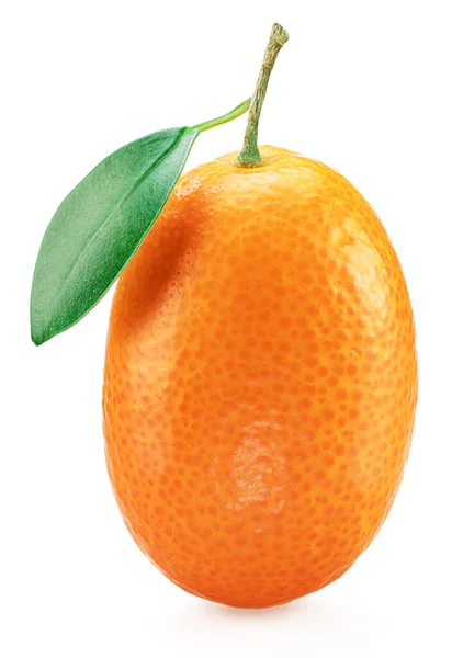 Kumquat Fruit Leaf Isolated White Background — Stock Photo, Image