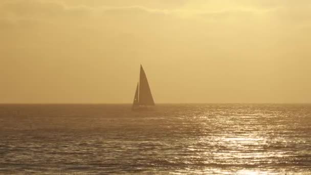 Beautiful Evening Sunset Sailing Yacht Atlantic Ocean Coast Portugal — Stock videók
