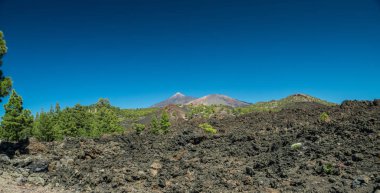 Teide Ulusal Parkı. Tenerife Adası.