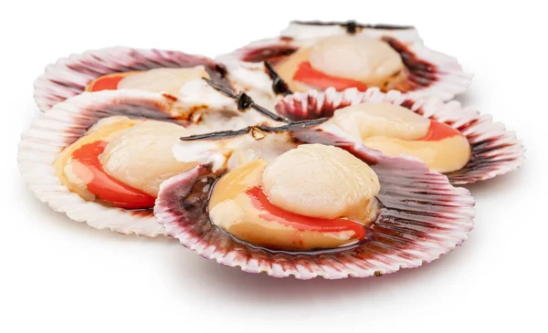 Group Fresh Opened Scallop Scallop Roe Coral Close File Contains — Stockfoto