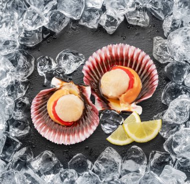 Doğal taştan siyah levhada taze kafa derilerini limon dilimleriyle açtık. Buz küpleri çerçeve olarak dizilmiş. Düz yatıyordu.