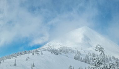 Beautiful sunny winter landscape in the mountains. Mountain and fir trees covered with snow.