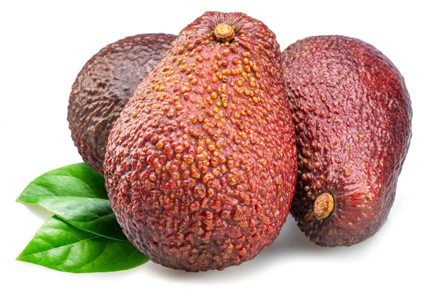 Плоды Авокадо Листьями Белом Фоне — стоковое фото