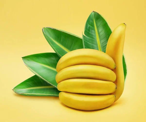 Banana Sinal Polegar Para Cima Folhas Banana Verde Fundo Amarelo — Fotografia de Stock