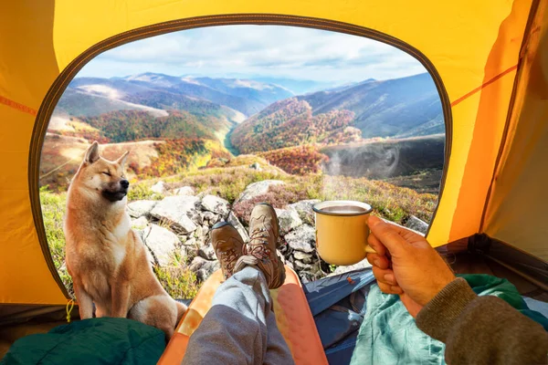 手に熱い飲み物のカップとテントのオープン入り口を通って秋の山の頂上の素晴らしい景色 犬と一緒にロマンチックなハイキングやキャンプの美しさ — ストック写真