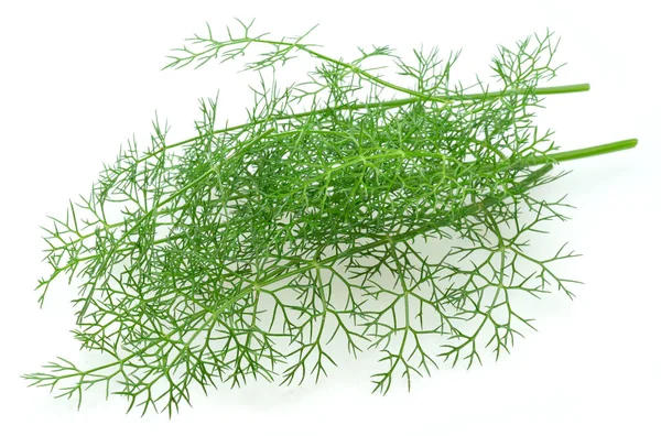 Green Dill Leaves Isolated White Background — Stock fotografie