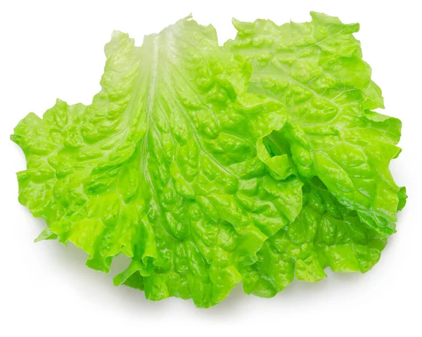 Frisches Salatblatt Auf Weißem Hintergrund Datei Enthält Schnittpfad — Stockfoto