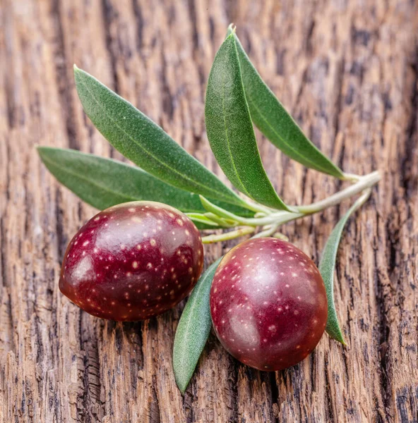 Zwei Frische Oliven Auf Olivenzweig Auf Altem Holzgrund — Stockfoto
