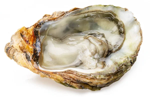Opened Raw Oyster Isolated White Background Delicacy Food — Stock Fotó