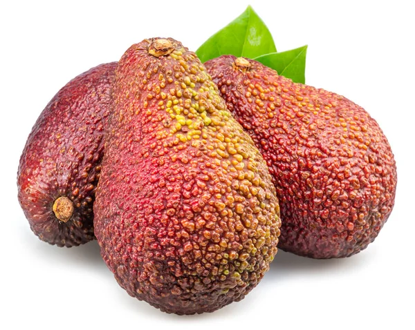 Плоды Авокадо Листьями Белом Фоне — стоковое фото