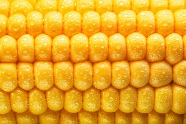 Maize Seeds Corn Cob Covered Small Water Drops Macro Shot — Stock Photo, Image