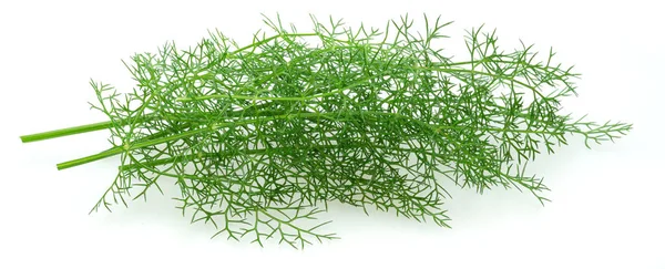 Green Dill Leaves Isolated White Background — Stock Photo, Image