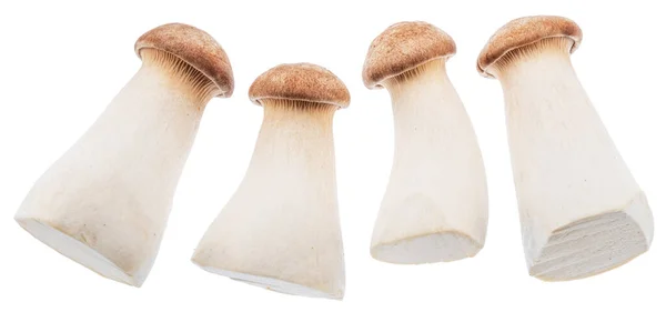 Quatro Cogumelos Eryngii Bebê Cogumelos Ostra Reais Isolados Fundo Branco — Fotografia de Stock