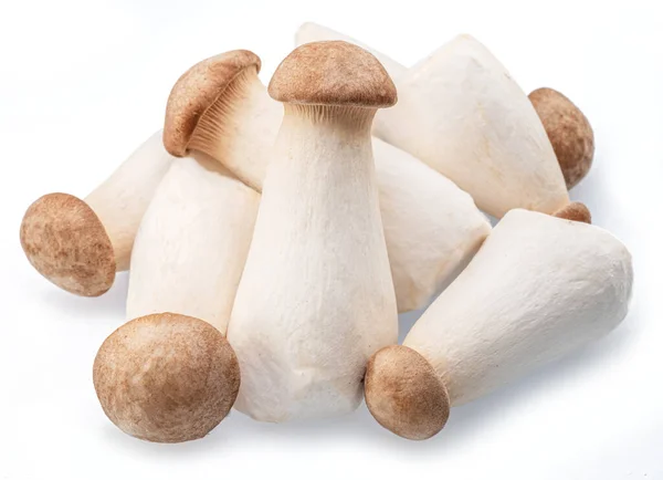 从白色背景分离出来的小生鳗菇或皇家牡蛎蘑菇 — 图库照片