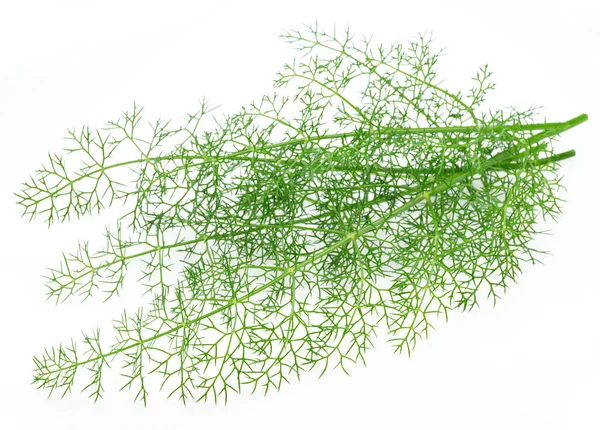 Green Dill Leaves Isolated White Background — Stockfoto