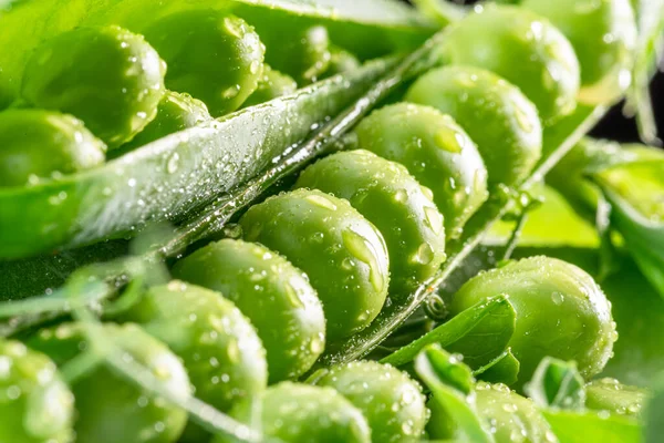 水滴で覆われたエンドウ豆のポッドの完璧な緑のエンドウ豆 マクロショット — ストック写真