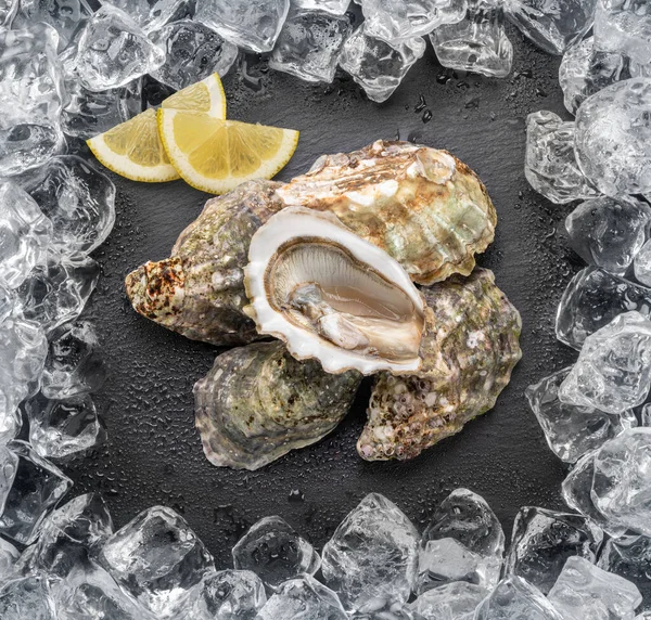 Opened Fresh Oysters Natural Stone Black Slate Plate Lemon Slices — Stock Photo, Image