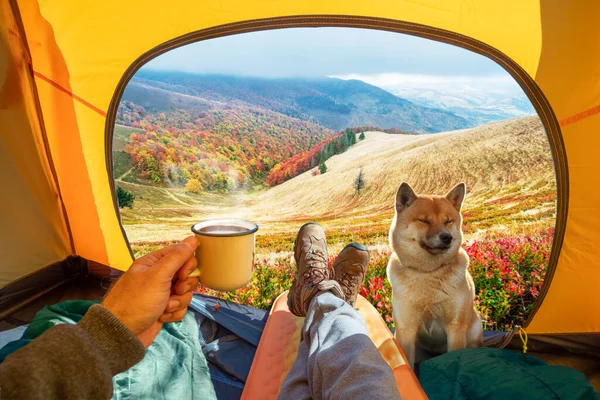 手に熱い飲み物のカップとテントのオープン入り口を通って秋の山の頂上の素晴らしい景色 犬と一緒にロマンチックなハイキングやキャンプの美しさ — ストック写真