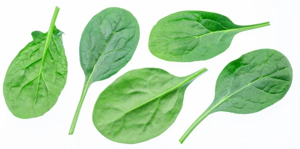 Set Spinach Leaves Isolated White Background — Stock Photo, Image