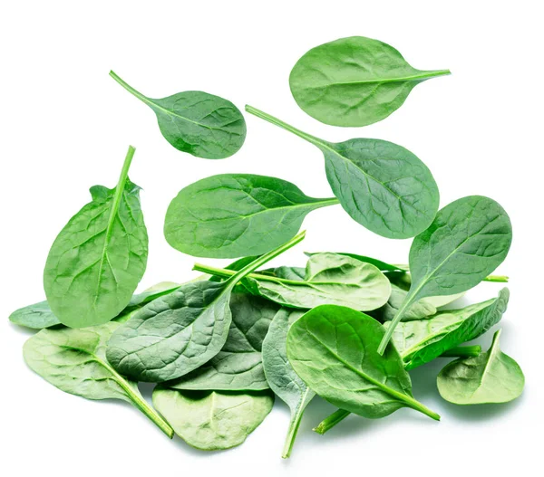 Falling Spinach Leaves Isolated White Background — Stock Photo, Image
