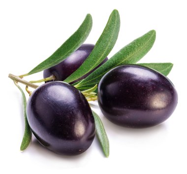 Beyaz arka planda izole edilmiş zeytin dalı üzerinde taze siyah zeytin üzümü..