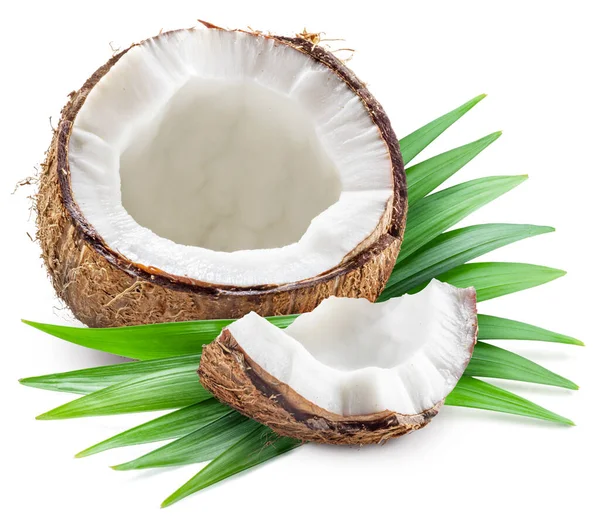 Pęknięty Owoc Kokosowy Białym Mięsem Wewnątrz Zielonymi Liśćmi Białym Tle — Zdjęcie stockowe