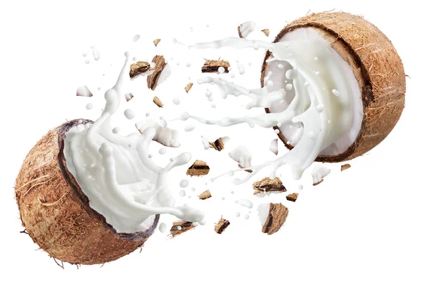 Kokosmelk Die Wegvliegt Van Gesplitst Kokosfruit Bestand Bevat Clipping Paden — Stockfoto