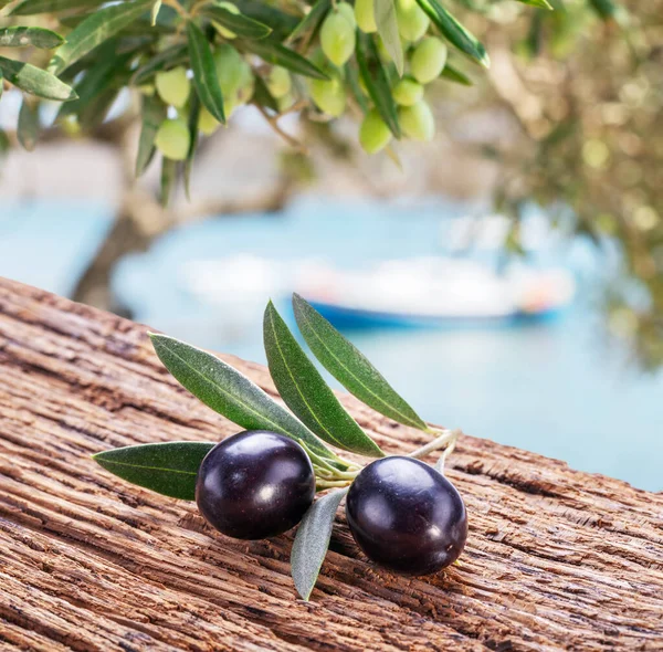 Due Olive Fresche Ramoscello Sul Tavolo Legno Olivo Mare Azzurro — Foto Stock