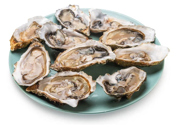 Opened Raw Oysters Blue Plate Top View Delicacy Food File — Zdjęcie stockowe