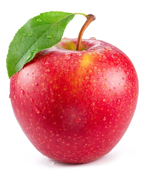 白の背景に小さな水滴で覆われた完璧な赤いリンゴを熟す — ストック写真